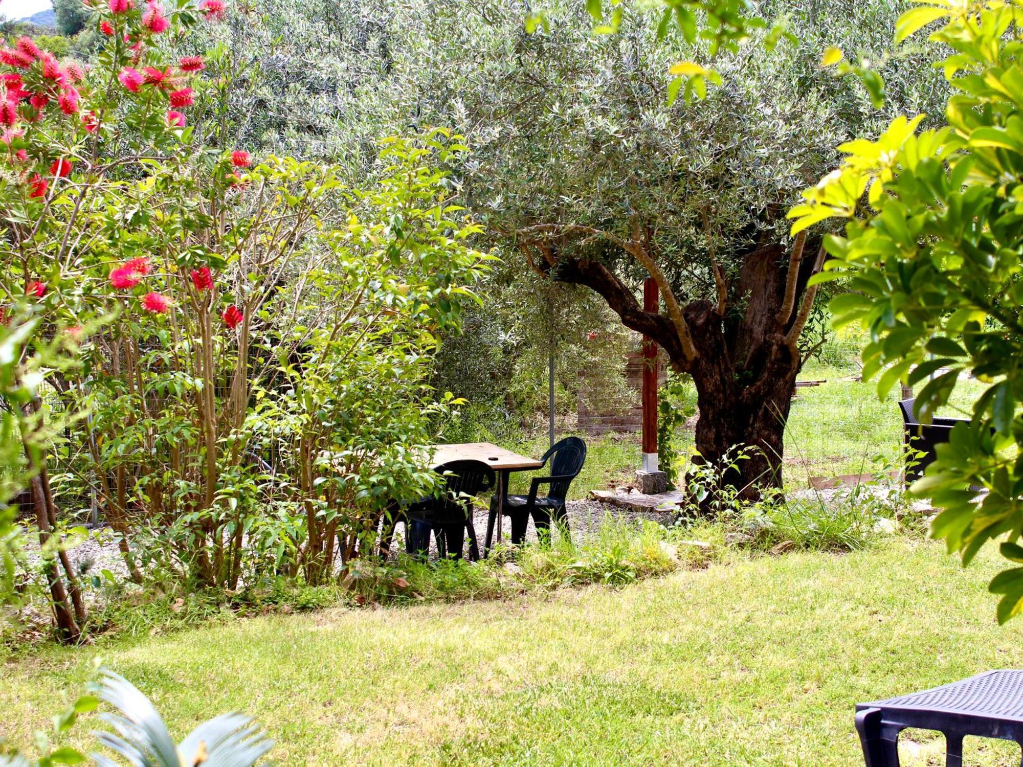 Villa Pelau - Holiday Home Jerzu Exteriér fotografie